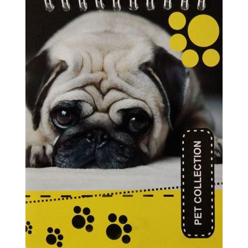 Блокнот кольоровий фон, А6 верхня пружина, 50 листів офсет, клітка, “Pet Collection“, обкладинка м“яка 139002 KNZ