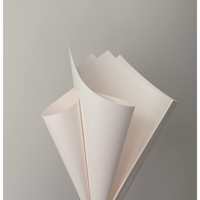 Плівка матова “Моно“ 60 мкр, 58 х 58 см — 20 аркушів (j00649-111)