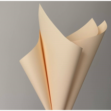 Плівка матова “Моно“ 60 мкр, 57 х 57 см — 20 аркушів (j00325 —243) KNZ