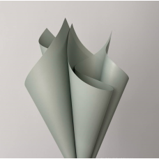 Плівка матова “Моно“ 60 мкр, 58 х 58 см — 20 аркушів (j00334 -04) KNZ