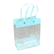 Пакети прозорі пластикові, 4 кольори, 19,5 х 24,5 х 9,5 см (SZ5014-051993-D) KNZ