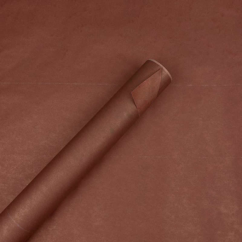 Еко-корафт кольоровий, папір подарунковий, 0,53 х 6 м, 80 г (ECP009) KNZ Еко-корафт кольоровий, папір подарунковий, 0,53 х 6 м, 80 г (ECP009) KNZ