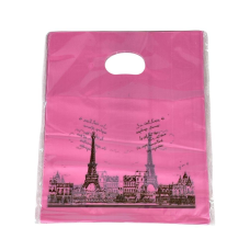 Подарункові пакети, поліетиленові 20 х 25 см, 24 шт/пач (10700-9) KNZ