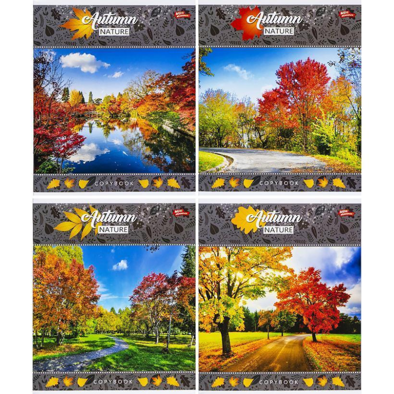 Зошит 24 аркуша у клітинку Природа, міста, море, пейзажі і тд KNZ