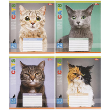 Зошит 24 аркуша у клітинку Квіти, тістечка, напої, велосипеди і тд KNZ