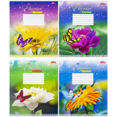 Зошит 12 аркушів лінія Квіти, тістечка, напої, велосипеди і тд KNZ