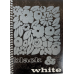 Блокнот А5, бічна пружина, 50 листів офсет, клітка, крейдована обкладинка м“яка “Серія Оксамит“ Ц355075У KNZ
