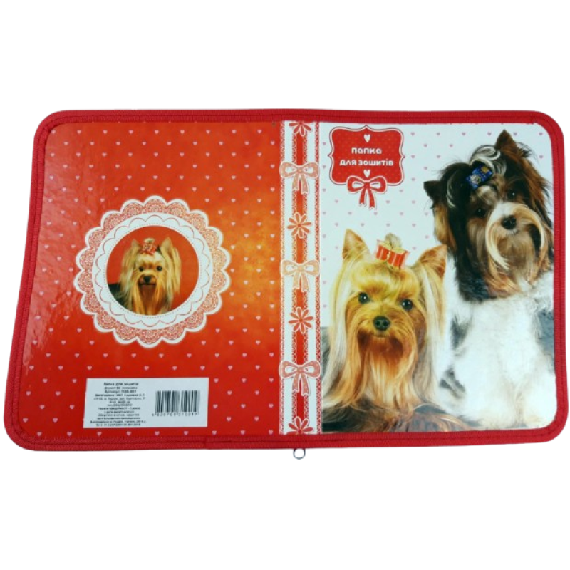 Папка для зошитів на змійці з малюнком B5 KNZ