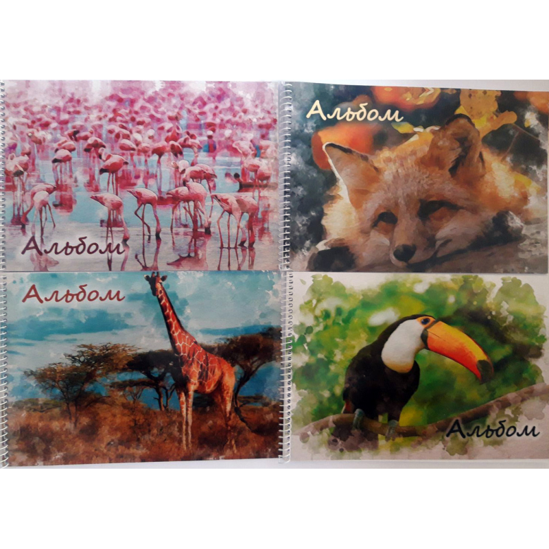 Альбом для малювання на пружині, 20 аркушів “Серія Тварини світу“ АМ-005-МВ KNZ