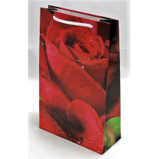 Подарункові пакети для жінок PVM172608W KNZ