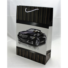 Подарункові пакети для чоловіків PVM253708M KNZ