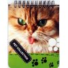 Блокнот А6 белый фон, верхняя пружина, 100 листов офсет, клетка “Pet Collection“, обложка мягкая 139010