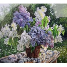 Картина за номерами 40х50, “Букет бузку“ 6405EOTG_O