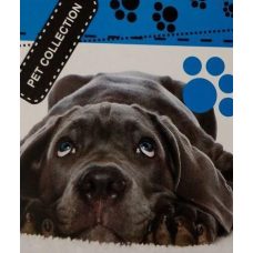 Блокнот біле тло, А6 верхня пружина, 50 аркушів офсет, клітинка “Pet Collection“, обкладинка м“яка 139001 Блокнот біле тло, А6 верхня пружина, 50 аркушів офсет, клітинка “Pet Collection“, обкладинка м“яка 139001