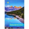 Книга канцелярська А4 96 аркушів, офсет