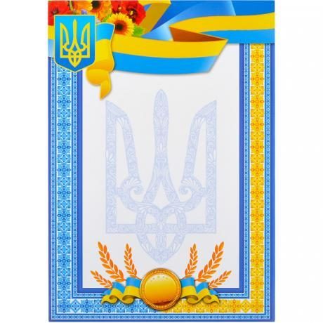 Бланк універсальний №11 Бланк універсальний №11