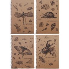 Блокнот для нотаток «Insects», бічна пружина, А5, 50 аркушів, Еко папір, клітинка, тверда обкладинка БН-030-МВ Блокнот для нотаток «Insects», бічна пружина, А5, 50 аркушів, Еко папір, клітинка, тверда обкладинка БН-030-МВ