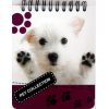 Блокнот А6 белый фон, верхняя пружина, 100 листов офсет, клетка “Pet Collection“, обложка мягкая 139010